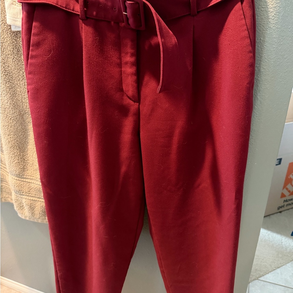 Ann Taylor burgundy Women's Trousers
